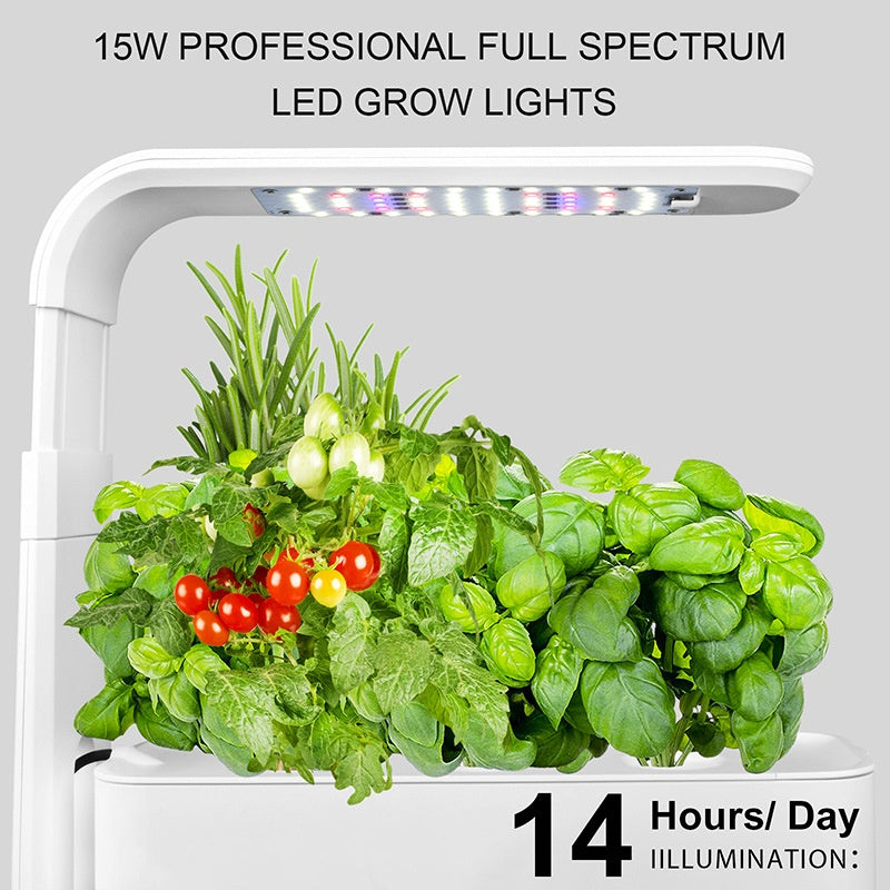 Best Indoor Hydroponic Systems for Beginners