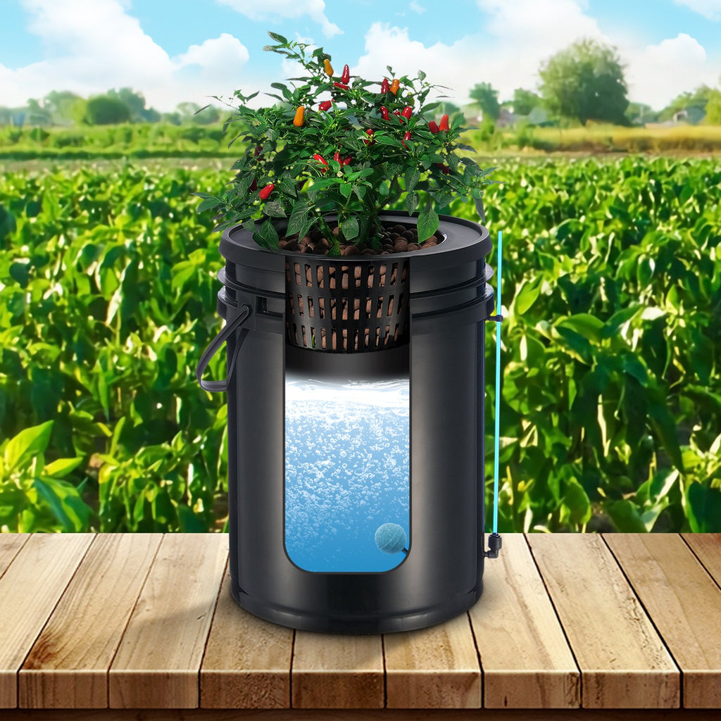 Two-bucket hydroponic system, designed for efficient indoor gardening with minimal space and easy plant growth.