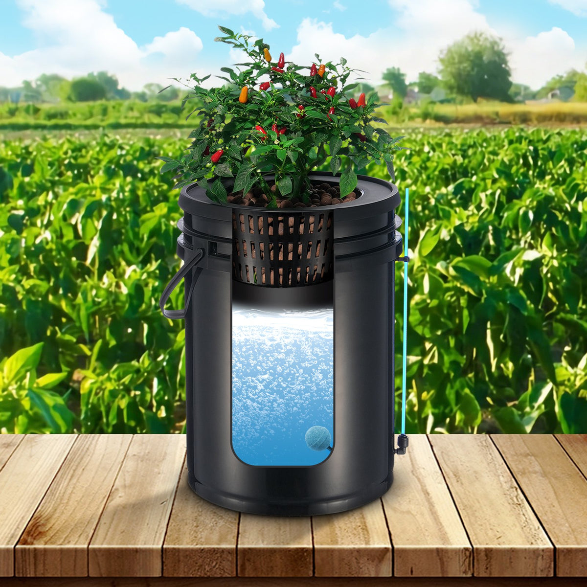 Two-bucket hydroponic system, designed for efficient indoor gardening with minimal space and easy plant growth.