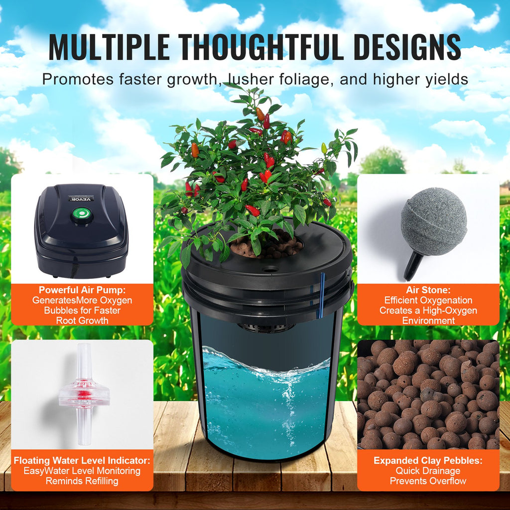 Four-bucket deep water culture (DWC) garden system for hydroponic growing of fresh greens and leafy vegetables at home.