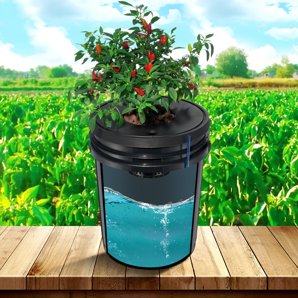 Four-bucket deep water culture (DWC) garden system for growing fresh greens, featuring durable containers and nutrient delivery setup.
