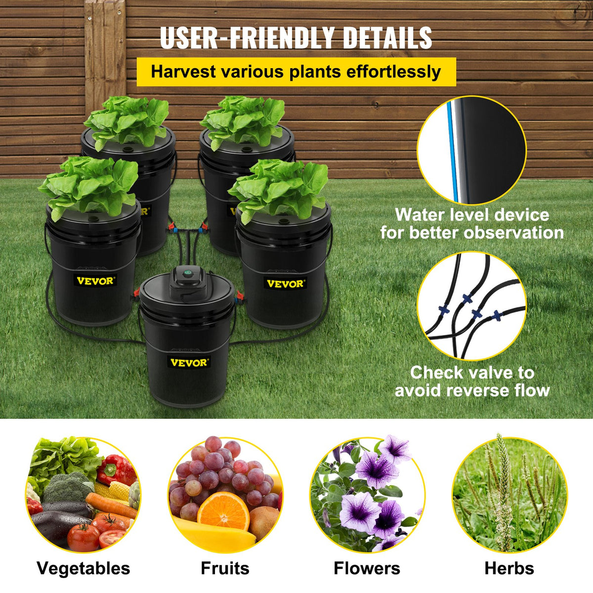 Close-up of a 5-bucket deep water culture (DWC) hydroponic garden kit for growing fresh greens at home.