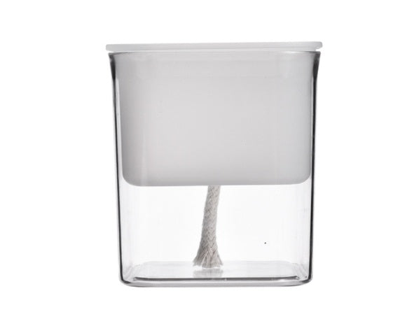 Transparent hydroponic planter for indoor gardening, showcasing healthy green plants in a modern, clear container.