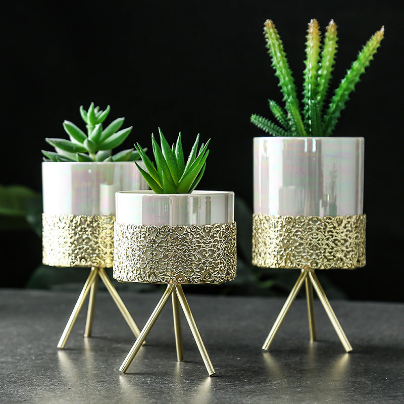 Modern minimalist hydroponic planter showcasing sleek design and vibrant greenery, ideal for stylish indoor plant displays.