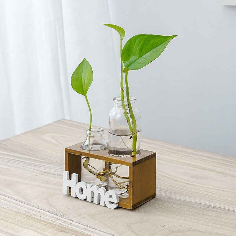 Clear glass hydroponic vase for growing greenery, showcasing a sleek and modern design perfect for stylish plant displays.