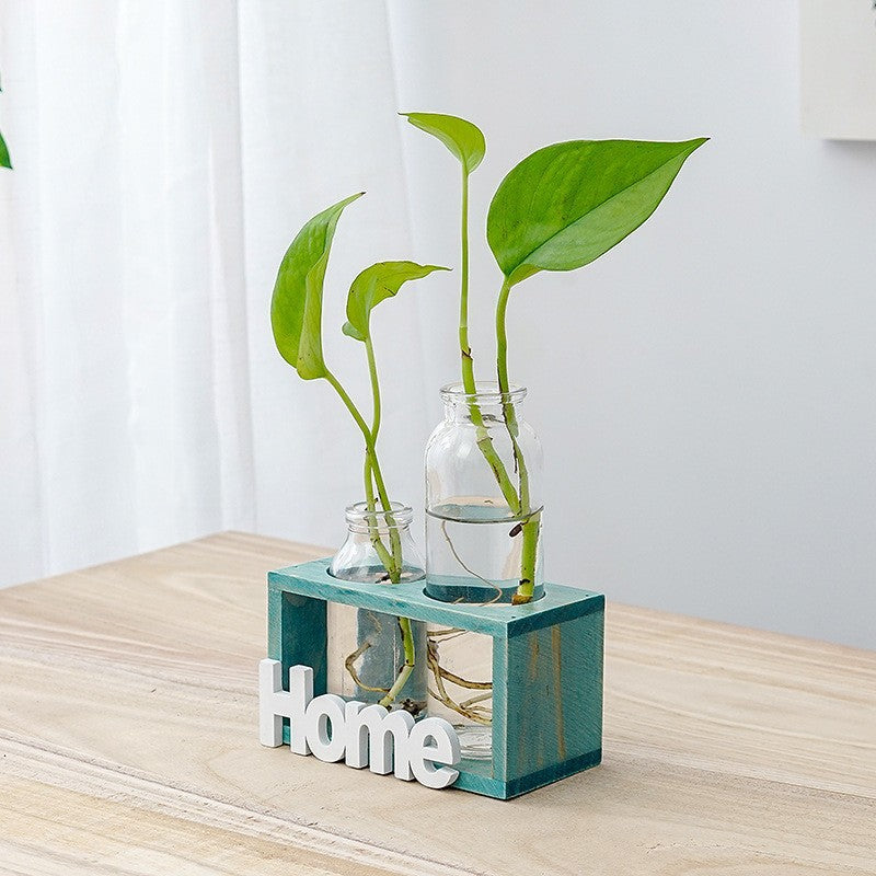Clear hydroponic glass vase for growing greenery, showcasing a sleek design perfect for stylish indoor plant displays.