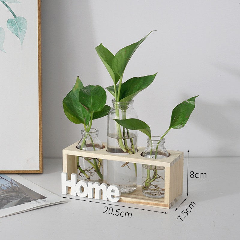 Clear hydroponic glass vase for growing greenery, showcasing a modern and elegant design perfect for stylish plant displays.
