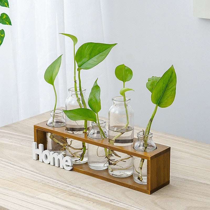 Clear glass hydroponic vase for growing greenery, featuring a sleek design ideal for stylish indoor plant displays.