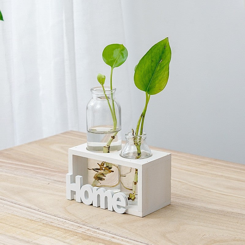 Clear hydroponic glass vase for indoor plant growth, showcasing a sleek design ideal for displaying greenery and modern decor.