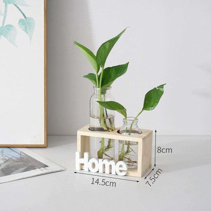 Clear hydroponic glass vase for growing greenery, featuring a sleek design perfect for stylish indoor plant displays.