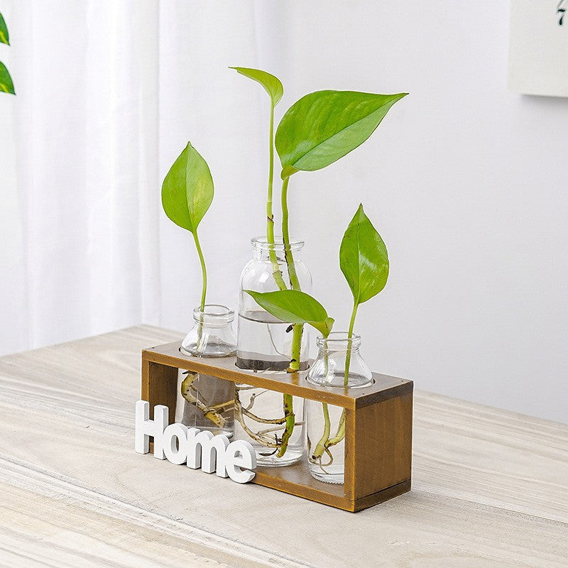 Clear hydroponic glass vase for indoor plant growth, showcasing a sleek design perfect for modern greenery displays.