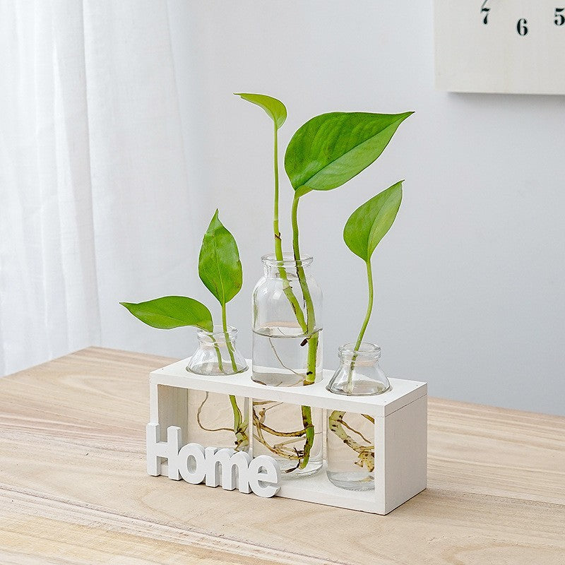 Clear hydroponic glass vase for growing greenery, showcasing a sleek and modern design ideal for stylish indoor plant displays.
