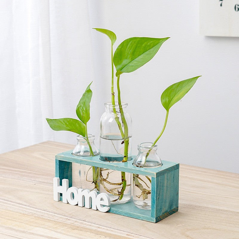 Elegant hydroponic glass vase for growing greenery, featuring a clear, stylish design ideal for modern home or office decor.
