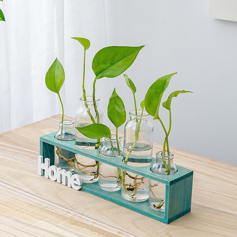 Elegant glass hydroponic vase ideal for growing greenery indoors with modern style and clear, sleek design.
