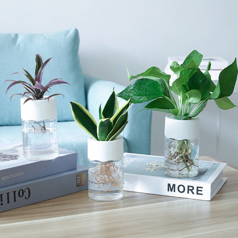 Small hydroponic planter from Brand 1, featuring a sleek design for indoor gardening and fresh plant growth in compact spaces.