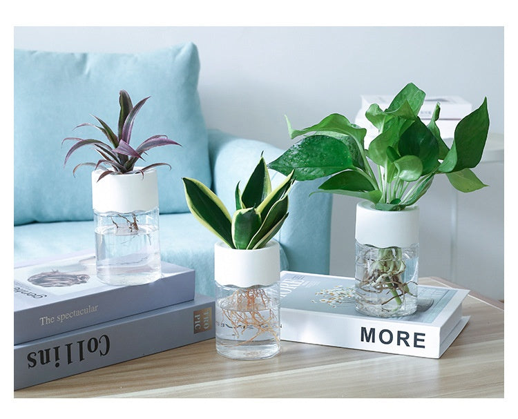 Small hydroponic planter for indoor gardening, showcasing lush green plants in a sleek, modern design for a touch of natural decor.