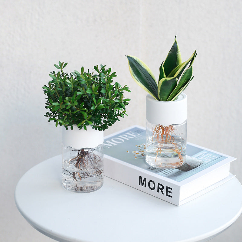 Small hydroponic planter showcasing a compact container with vibrant green plants suitable for indoor gardening.