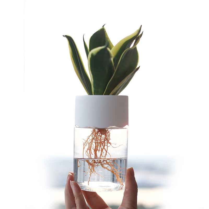 Small hydroponic planter for indoor gardening, featuring sleek design and space-saving setup for growing herbs and small plants.