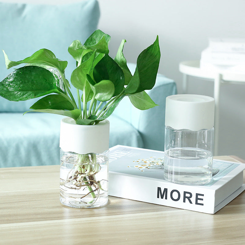 Small hydroponic planter with sleek design, perfect for indoor gardening and adding a touch of greenery to your space.