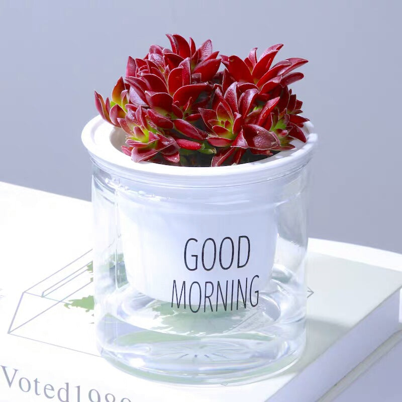 Double-tier self-watering planter with lush green plants, showcasing efficient watering and elegant design for easy gardening.