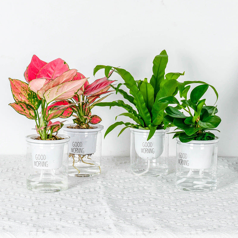Double-tier self-watering planter by Grow Beautifully showing lush green plants in a stylish, space-saving design for easy gardening.