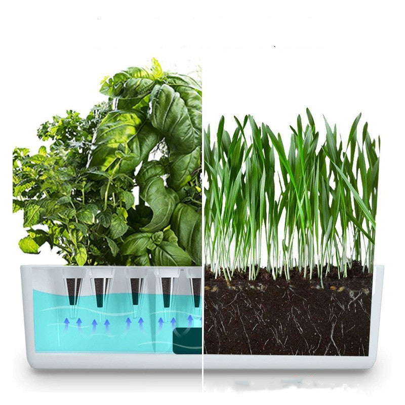 Hydroponic garden planter featuring a soil-free system for growing herbs and vegetables indoors with modern design.