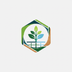Colorful Hexagon Plant & Organization Logo